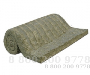   1     1000200050   21880-94
